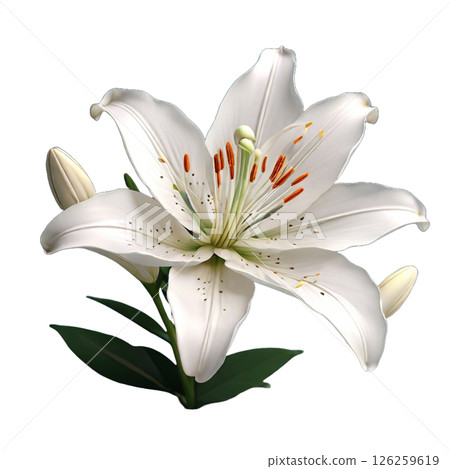 High-quality white flowers 126259619