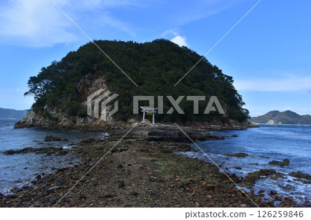 大分綱代島 126259846