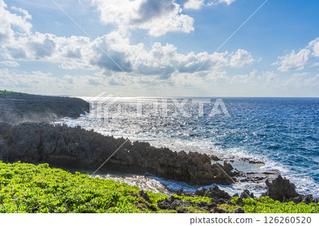 八月午後的南島石灰岩海岸線(國頭島國立公園沖永良部島) 八月午後的南島石灰岩海岸線(國頭島國立公園沖永良部島) 126260520