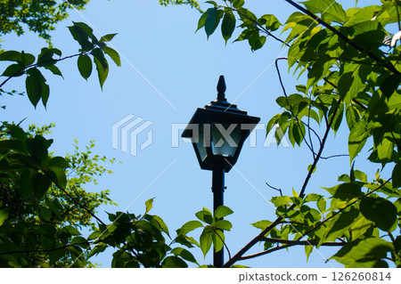 Retro street lamp during daytime 126260814