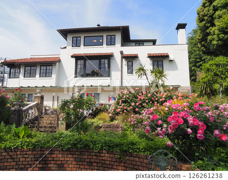 橫濱：港未來公園的玫瑰園和咖啡館 126261238