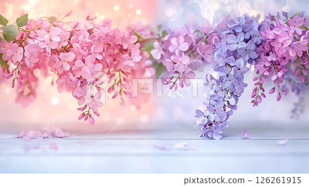 blooming cherry blossom on a light wooden background 126261915