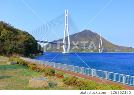 [Hiroshima Prefecture] Tatara Bridge as seen from Tatara Shimanami Park Roadside Station in spring 126262390