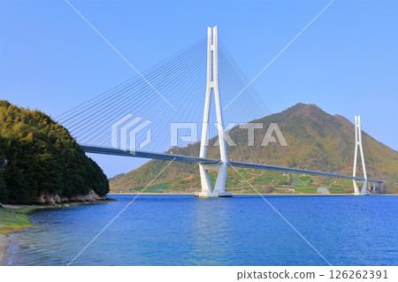 【廣島縣】春天從道之站多多良島波公園眺望多多良橋 126262391