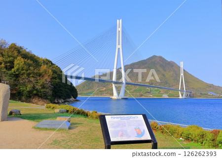 【廣島縣】春天從道之站多多良島波公園眺望多多良橋 126262393