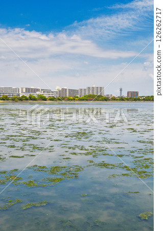 Yatsu tidal flat (Narashino City, Chiba Prefecture) 126262717