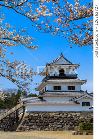 [宮城縣_白石城] 白石城的灰泥與櫻花的對比令人驚嘆 126262727