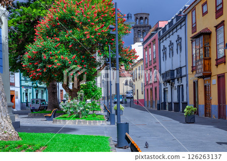 聖克里斯托瓦爾德拉古納 126263137