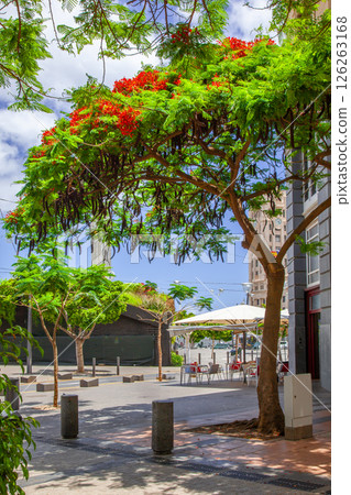 Santa Cruz de Tenerife Santa Cruz de Tenerife 126263168