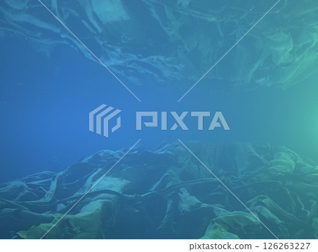 Uozu Buried Forest in Toyama Prefecture, where a cedar forest from about 2,000 years ago was buried due to river flooding and rising sea levels, designated as a Special Natural Monument of Japan. 126263227