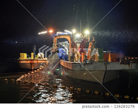 Firefly squid fishing is famous in Namerikawa, Toyama Prefecture, Japan. The large schools of blue lights are a special natural monument. 126263276