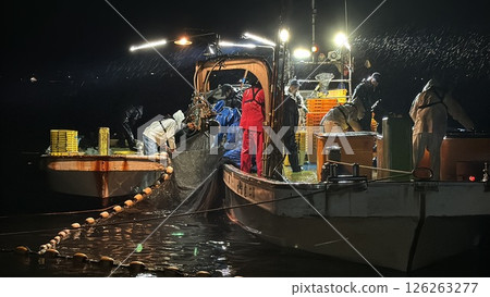 富山縣滑川市以螢火蟲魷魚捕撈而聞名，成群的藍色燈光奇觀已被指定為特別天然紀念物。 126263277