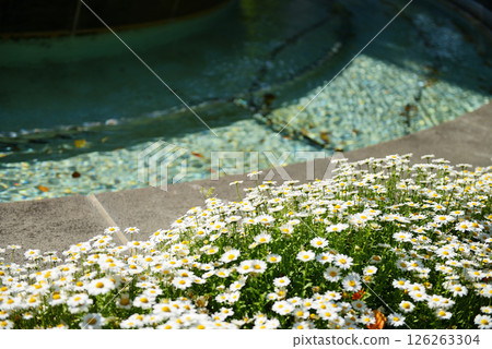 廣島：晴朗天氣下的原子彈爆炸圓頂屋（噴泉） 126263304
