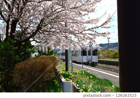 JR八戶線種市站 JR八戶線種市站 126263525