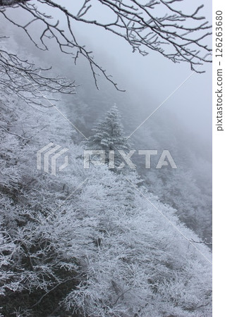 《冬天的石鎚》 雪山 石鎚山 126263680