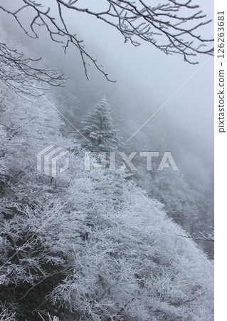 《冬天的石鎚》 雪山 石鎚山 《冬天的石鎚》 雪山 石鎚山 126263681