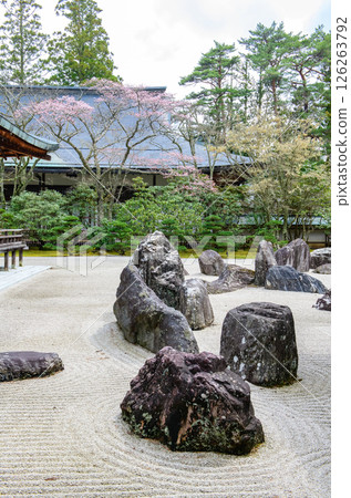 Kongobu-ji Temple: Banryu Garden and New Annex, Mount Koya, Wakayama Prefecture Kongobu-ji Temple: Banryu Garden and New Annex, Mount Koya, Wakayama Prefecture 126263792