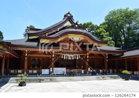 龜池八幡神社正殿 龜池八幡神社正殿 126264174