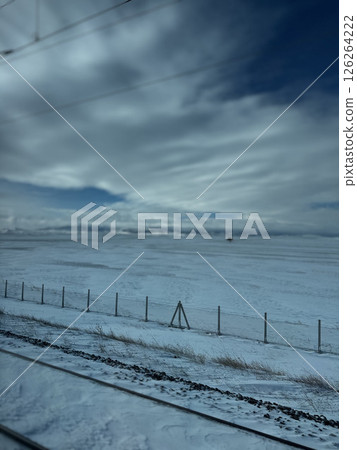 horses in the stable and in the paddock on a walk. High quality photo 126264222