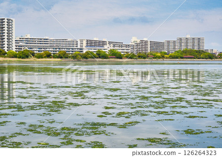 Yatsu潮灘（千葉縣習誌野市） 126264323