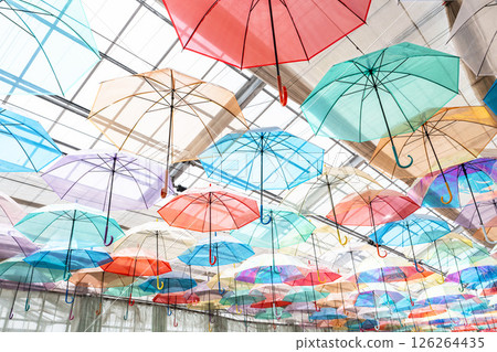 Herb garden's colorful "Umbrella Sky", Inawashiro Town, Fukushima Prefecture Herb garden's colorful "Umbrella Sky", Inawashiro Town, Fukushima Prefecture 126264435