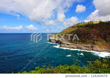 View from Kilauea Lighthouse, Kauai View from Kilauea Lighthouse, Kauai 126264479
