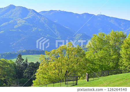 A refreshing view of new greenery from Chichibu Kogen Ranch, Higashichichibu Village A refreshing view of new greenery from Chichibu Kogen Ranch, Higashichichibu Village 126264540