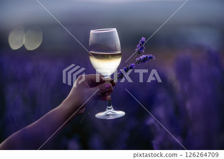 Glass white wine lavender field. Woman hand holds a glass with lavander and wine in the Lavender field at sunset Violet flowers on the background.. Conscious consumption. Wellness and natural concept Glass white wine lavender field. Woman hand holds a glass with lavander and wine in the Lavender field at sunset Violet flowers on the background.. Conscious consumption. Wellness and natural concept 126264709