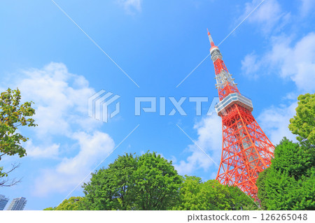 Tokyo Tower and fresh greenery in Minato-ku, Tokyo Tokyo Tower and fresh greenery in Minato-ku, Tokyo 126265048