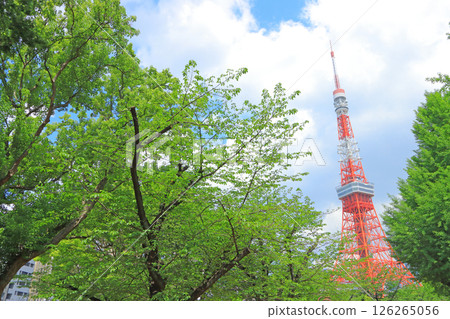 東京鐵塔和東京港區的新鮮綠地 126265056