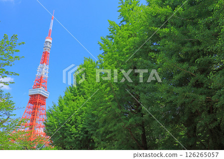 東京鐵塔和東京港區的新鮮綠地 126265057