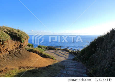 Jogashima Park, Miura City, Kanagawa Prefecture 126265112