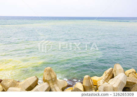 九份陰陽海 126265309