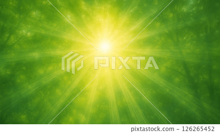 A green space with sunlight filtering through the trees A green space with sunlight filtering through the trees 126265452