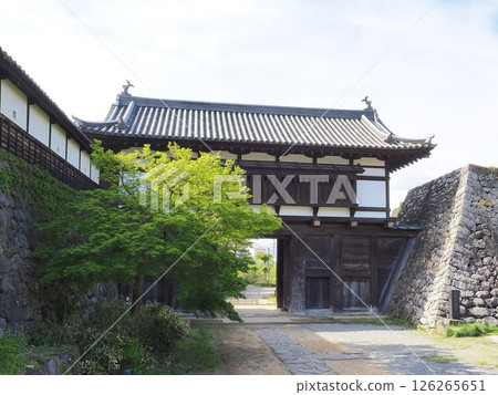 長野縣小諸城遺址大手門 5月 126265651