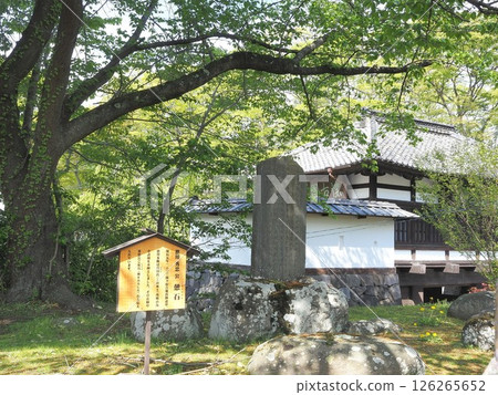 長野縣,新綠懷舊花園,池石,五月 長野縣,新綠懷舊花園,池石,五月 126265652