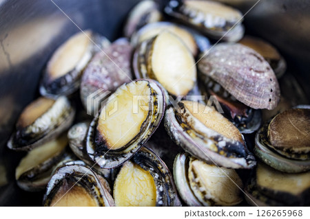 九孔鮑魚,海洋珍品 九孔鮑魚,海洋珍品 126265968
