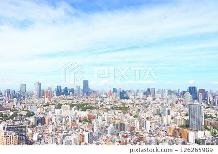 東京,東京城市景觀和東京鐵塔景觀 東京,東京城市景觀和東京鐵塔景觀 126265989