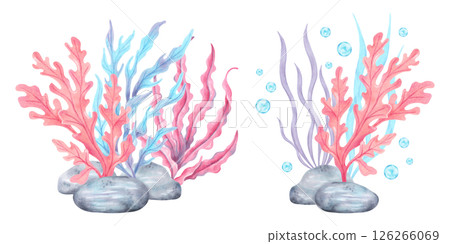 Seaweed with stones and bubbles. Watercolor composition illustration. Marine art of underwater plants. Ocean fauna. Hand drawn isolated art. For marine theme, cards, children's projects, tourism. Seaweed with stones and bubbles. Watercolor composition illustration. Marine art of underwater plants. Ocean fauna. Hand drawn isolated art. For marine theme, cards, children's projects, tourism. 126266069