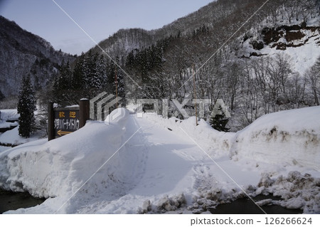 250105 秋山鄉桐明 250105 秋山鄉桐明 126266624