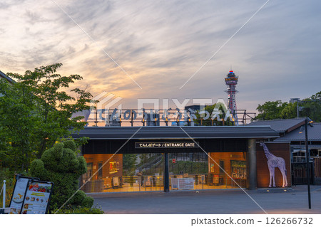 夕陽下的天王寺動物園天芝門 126266732