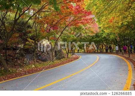 A beautiful autumn road with red leaves A beautiful autumn road with red leaves 126266885