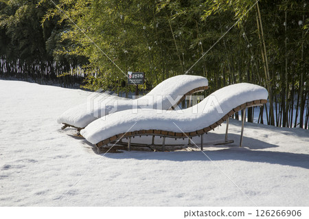 Winter landscape of a blue bamboo forest. Winter landscape of a blue bamboo forest. 126266906
