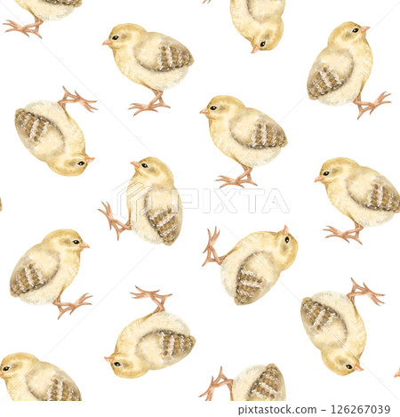 Pastel yellow baby chicks watercolor seamless pattern on white. Cute chickens for Easter repeat backgrounds or farm birds designs. Fall domestic animals for textile, wrapping paper and kids clothes 126267039