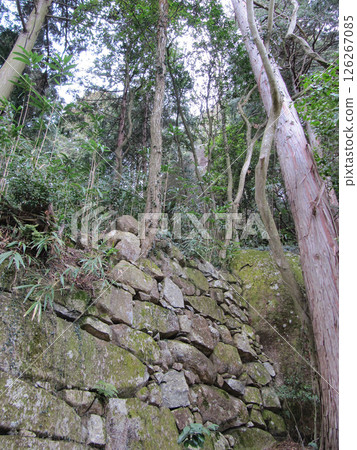 Shiga Prefecture: Stone walls on the approach to Kannonshoji Temple [Kanonji Castle Ruins, one of Japan's 100 Great Castles] Azuchi-cho, Omihachiman City 126267085