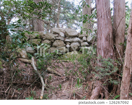 Shiga Prefecture: Stone walls of the main citadel of Kannonji Castle [Japan's 100 Most Famous Castles] Azuchi-cho, Omihachiman City 126267092