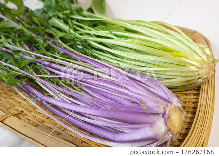 A photo showing the difference between fresh purple mizuna and the roots of mibuna in a colander 126267168