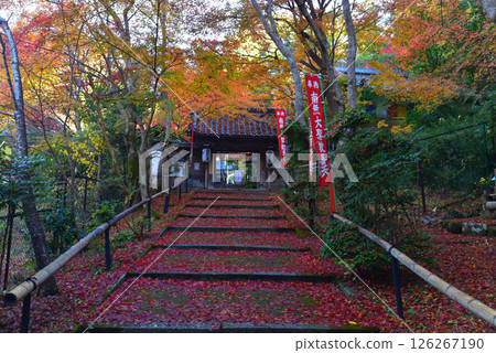 Yamashina Shoten with bright red autumn leaves 126267190