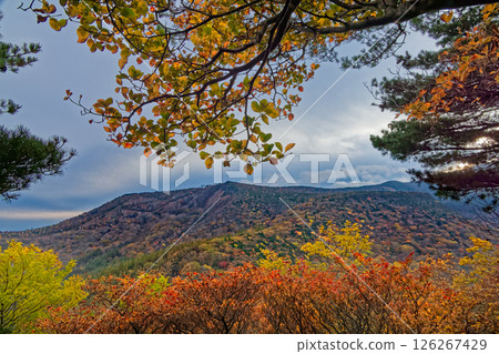 安達太良山奧岳溫泉登山口附近的紅葉 126267429