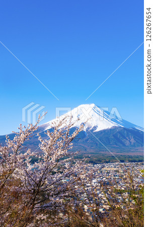 Spring scenery from Arakurayama Sengen Park in Fujiyoshida, Yamanashi Prefecture Spring scenery from Arakurayama Sengen Park in Fujiyoshida, Yamanashi Prefecture 126267654